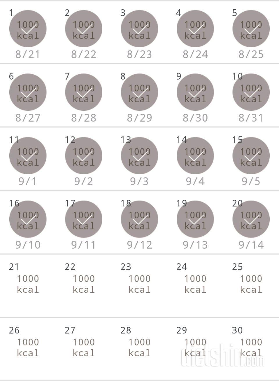 30일 1,000kcal 식단 20일차 성공!