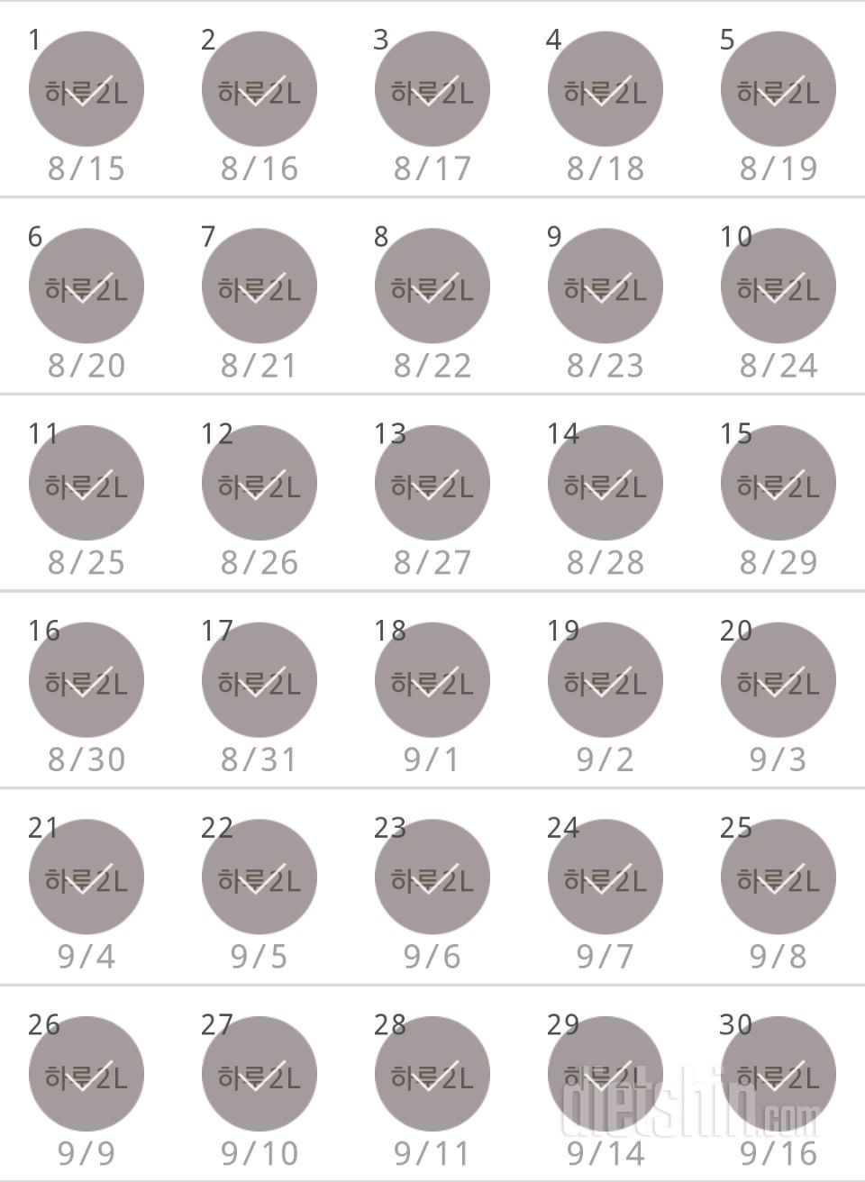 30일 하루 2L 물마시기 60일차 성공!