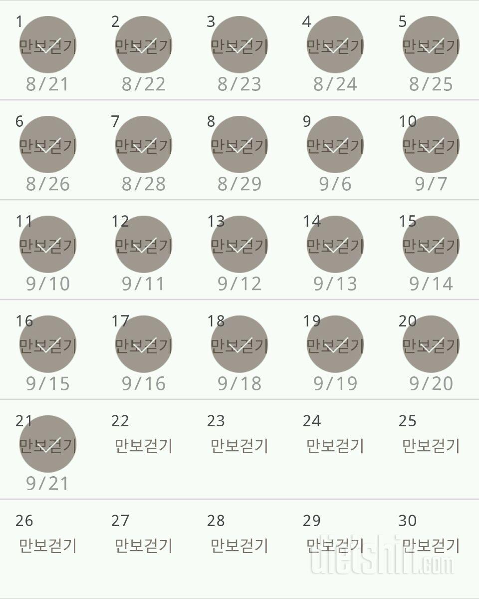 30일 만보 걷기 381일차 성공!