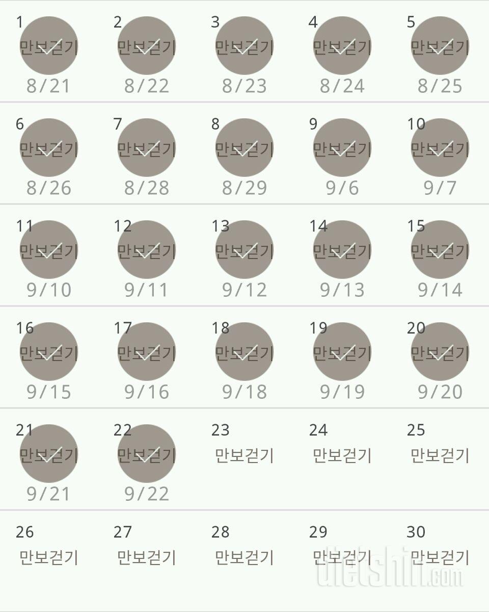 30일 만보 걷기 382일차 성공!