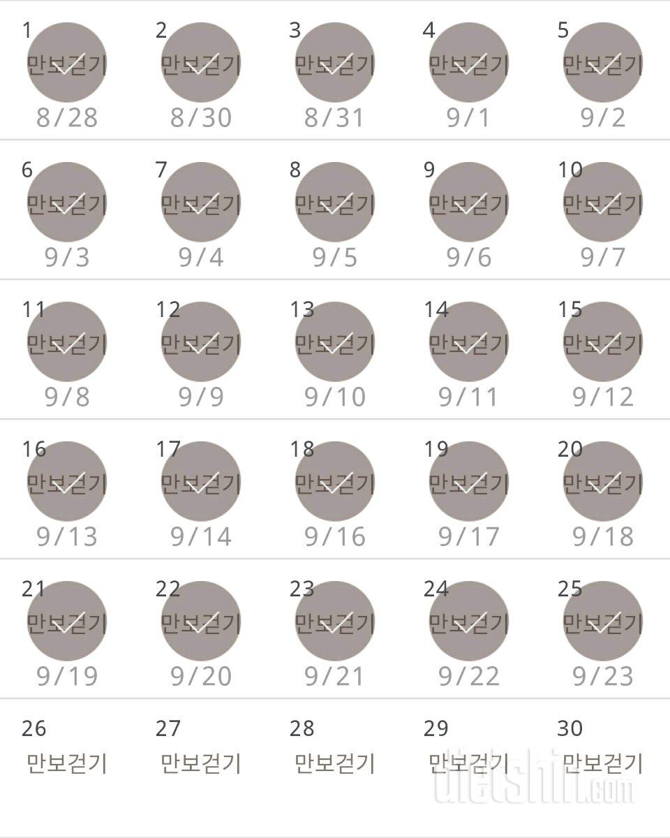 30일 만보 걷기 25일차 성공!