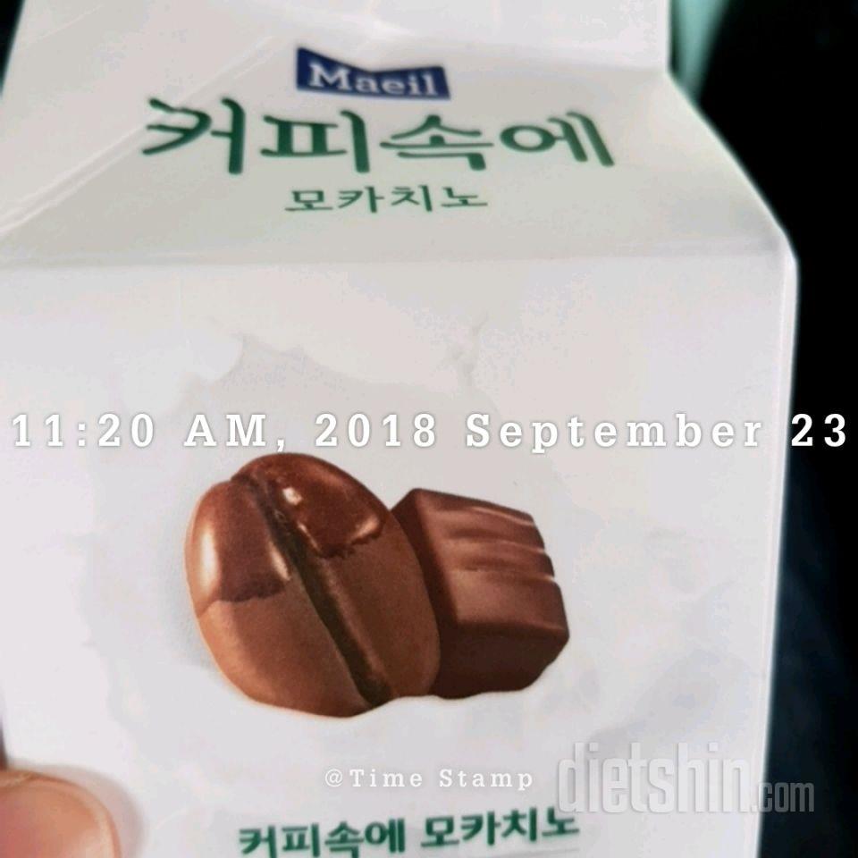 9/23 일요일 하루