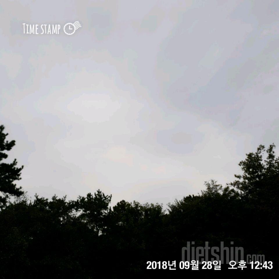 28 불금이네요