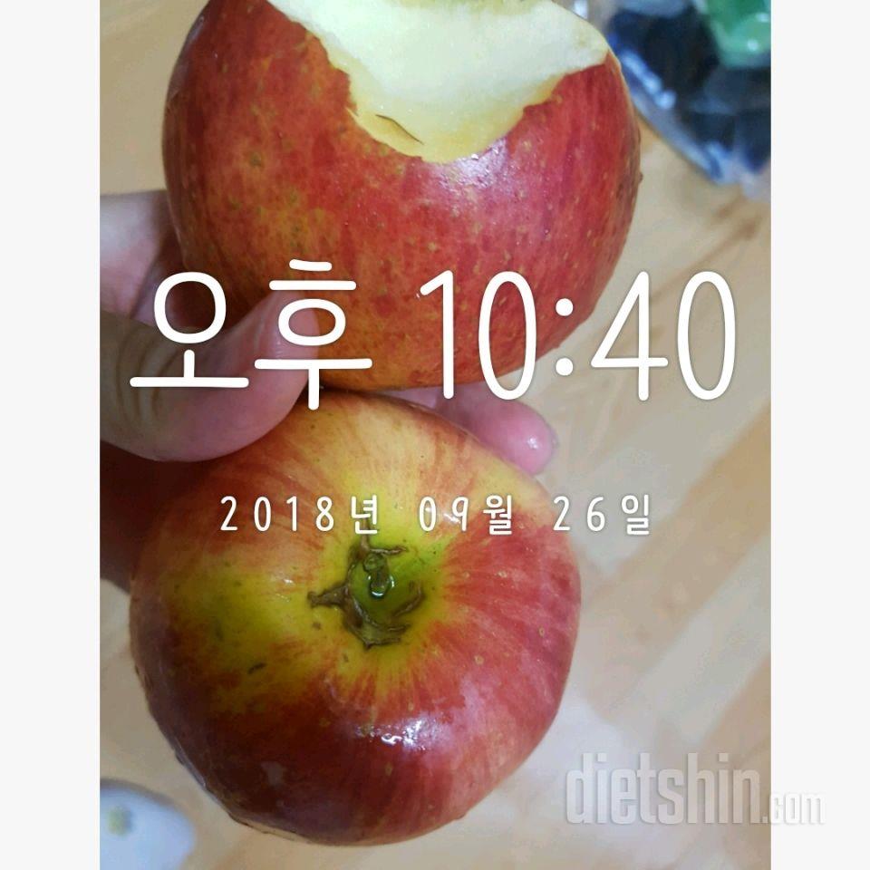 9/26 수