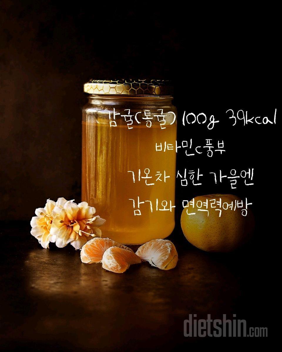 🍊제주감귤과일칩 2일째