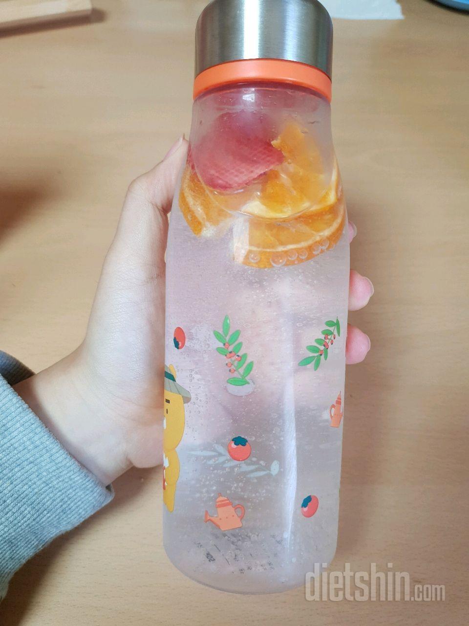 과일칩으로 간단 디톡스 에이드 만들기!🍹