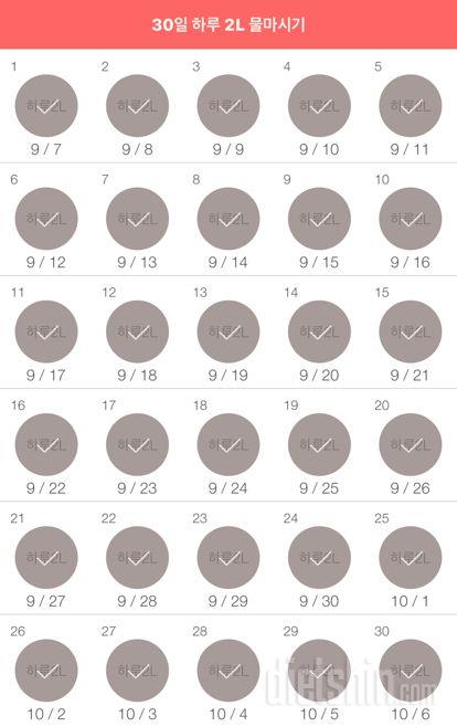 30일 하루 2L 물마시기 30일차 성공!