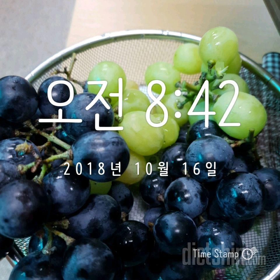 10/16  화요일 ㅡ새벽운동