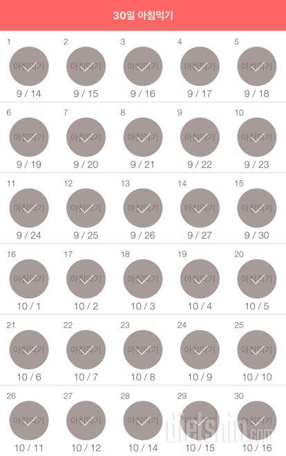 30일 아침먹기 300일차 성공!