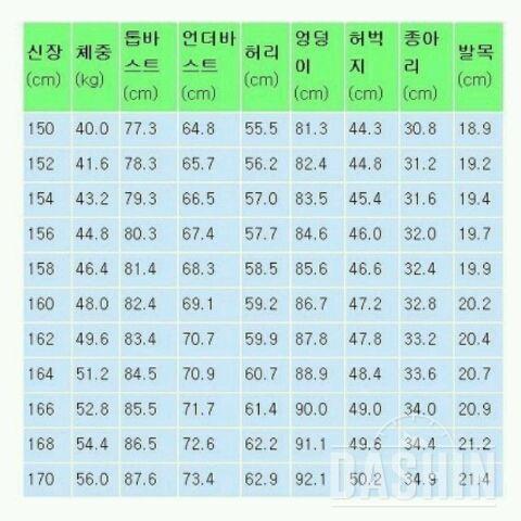 이쁜몸매 치수