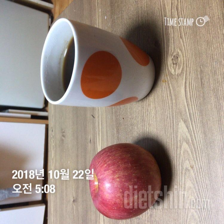 1일차 식단 운동