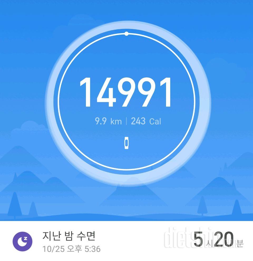 30일 만보 걷기 10일차 성공!