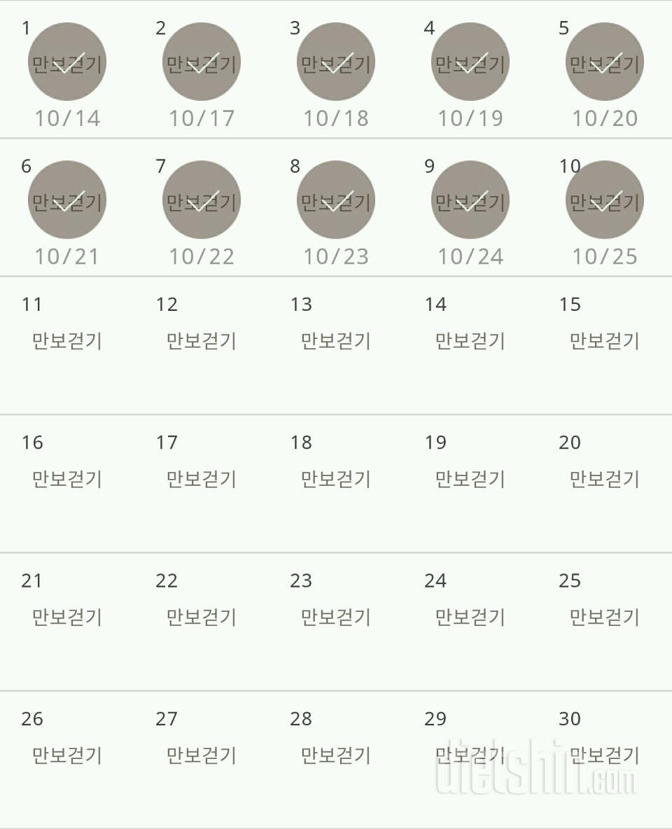 30일 만보 걷기 10일차 성공!