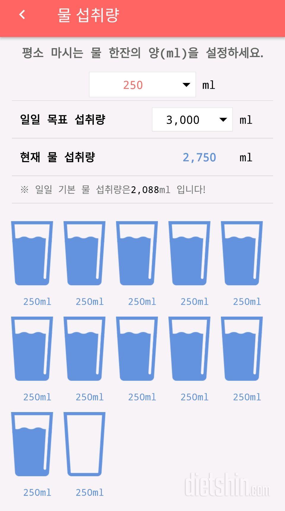 30일 하루 2L 물마시기 10일차 성공!