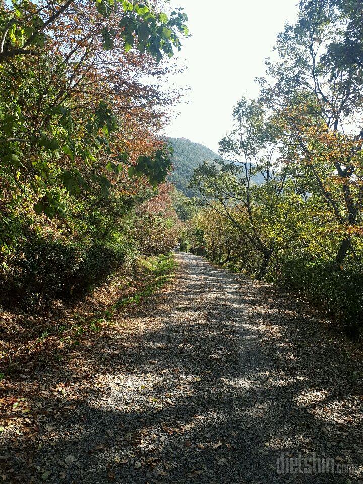 🍁가을산🍂🌼🌻