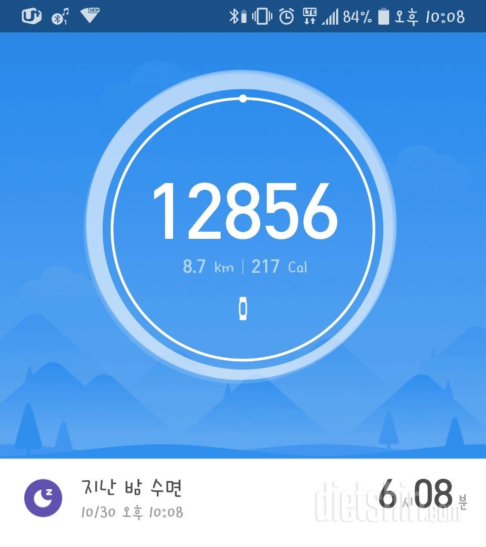 30일 만보 걷기 9일차 성공!