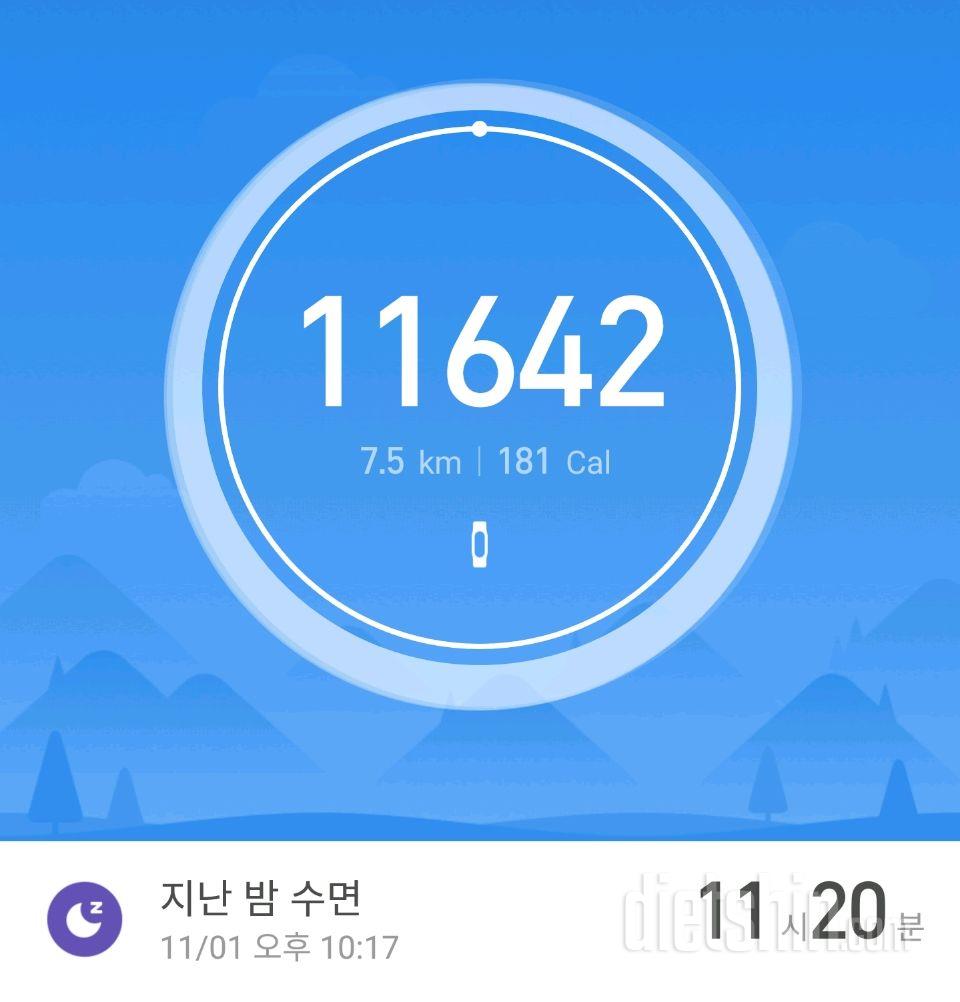 30일 만보 걷기 17일차 성공!