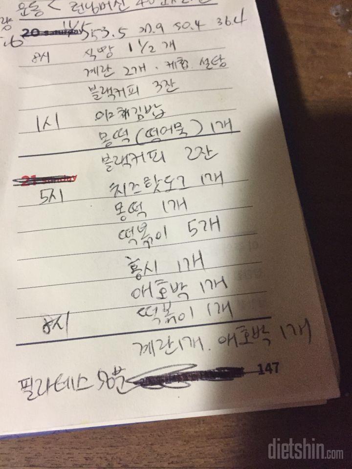 11/5식운    계속 하는 수밖에