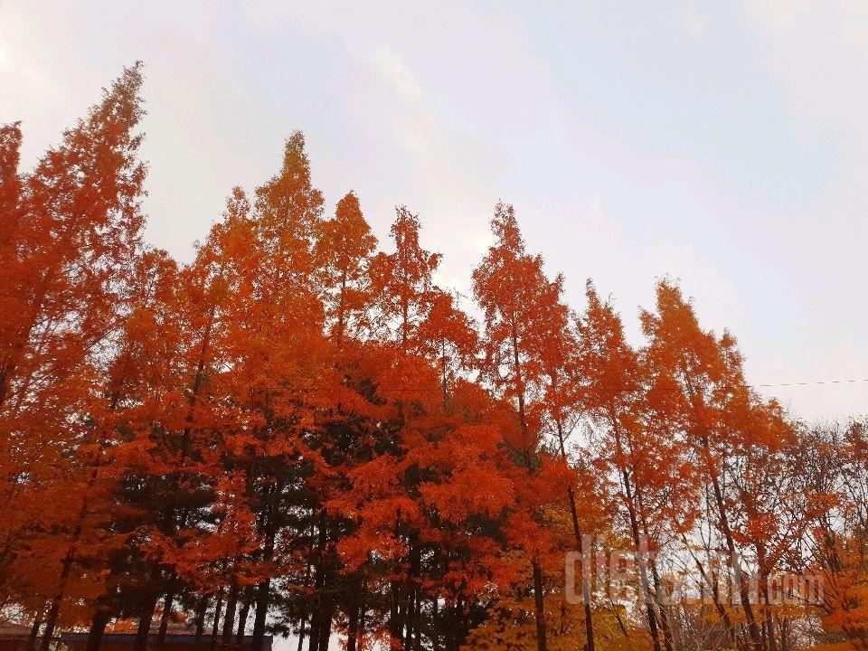 [181109] 이번주도 끝나가네용ㅋㅋ