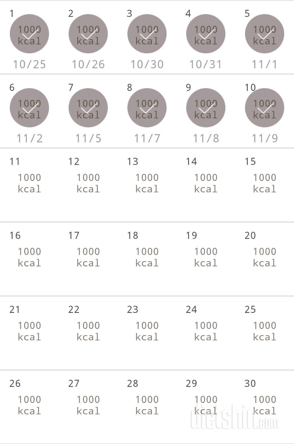 30일 1,000kcal 식단 10일차 성공!