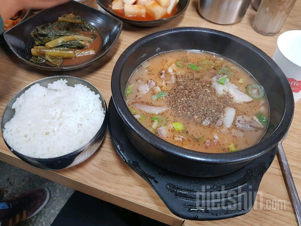 토요일 끝 ㅠㅠ (207일차)