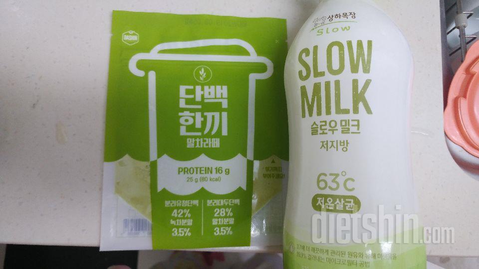 인바디 결과 단백질이 부족해서 트레이