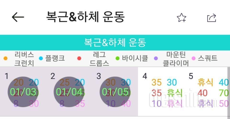 20일차 주말운동