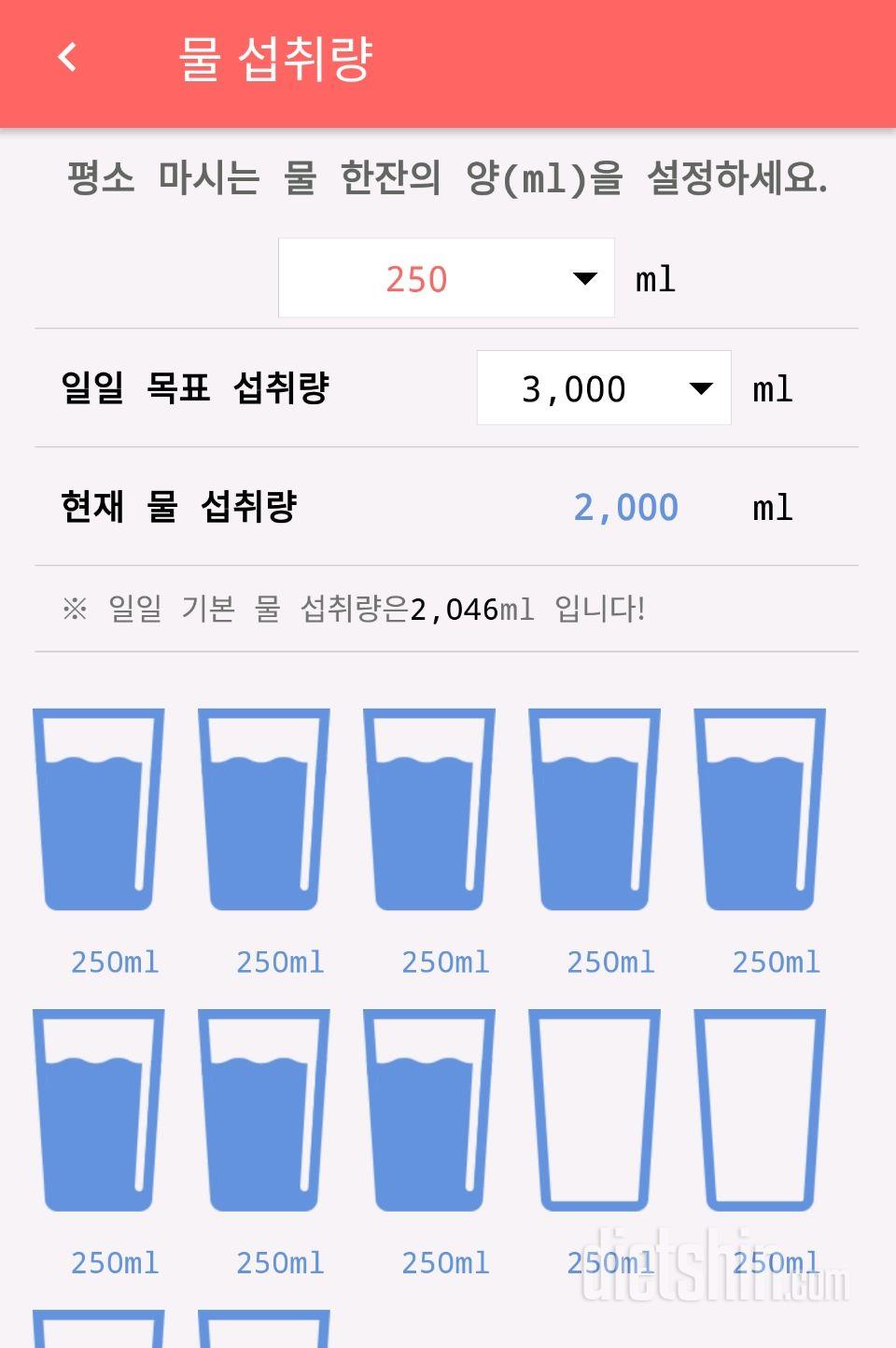 30일 하루 2L 물마시기 42일차 성공!