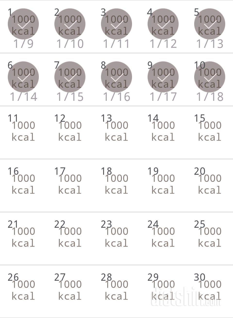 30일 1,000kcal 식단 10일차 성공!