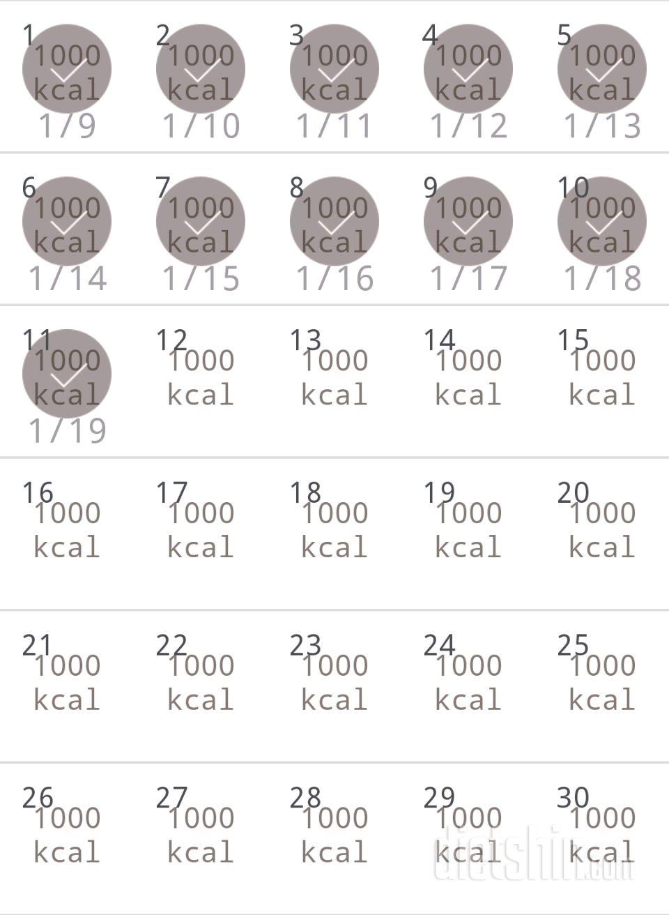 30일 1,000kcal 식단 11일차 성공!