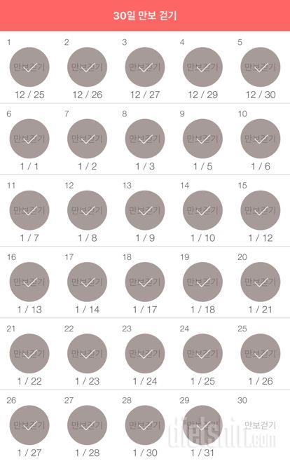 30일 만보 걷기 419일차 성공!