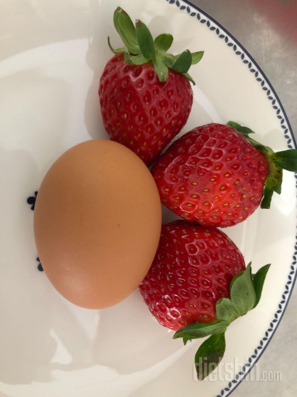 1일차 도전