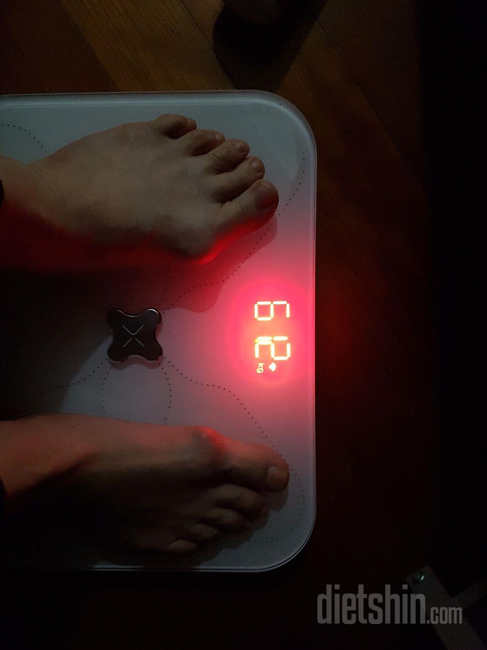 2일차 도전
