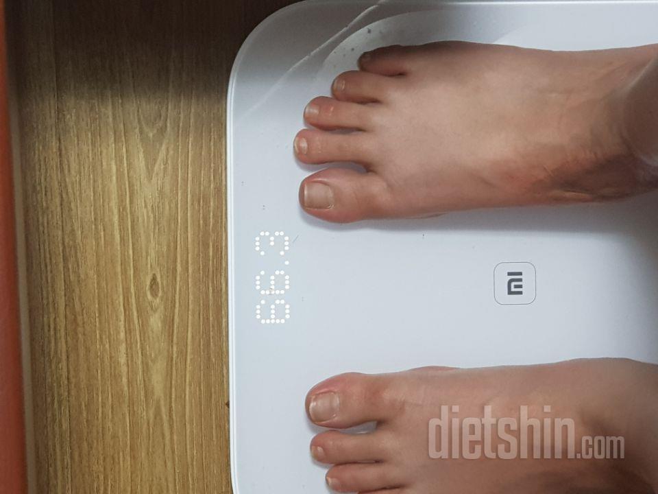 2일차 도전