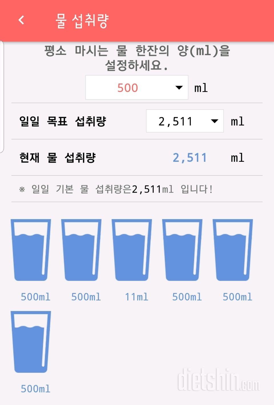 30일 하루 2L 물마시기 13일차 성공!