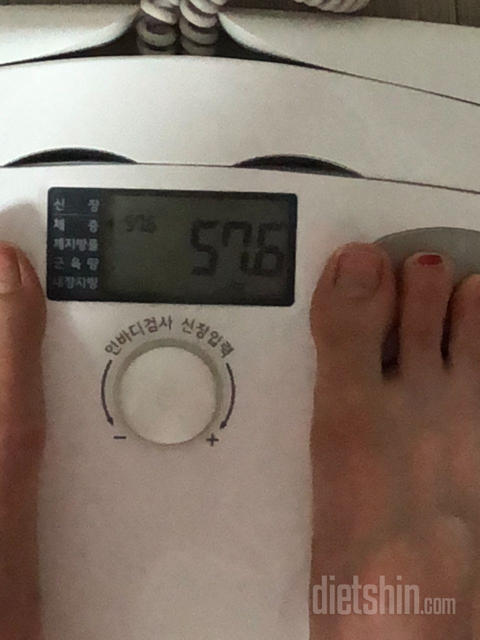 최종후기