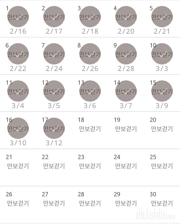 30일 만보 걷기 17일차 성공!