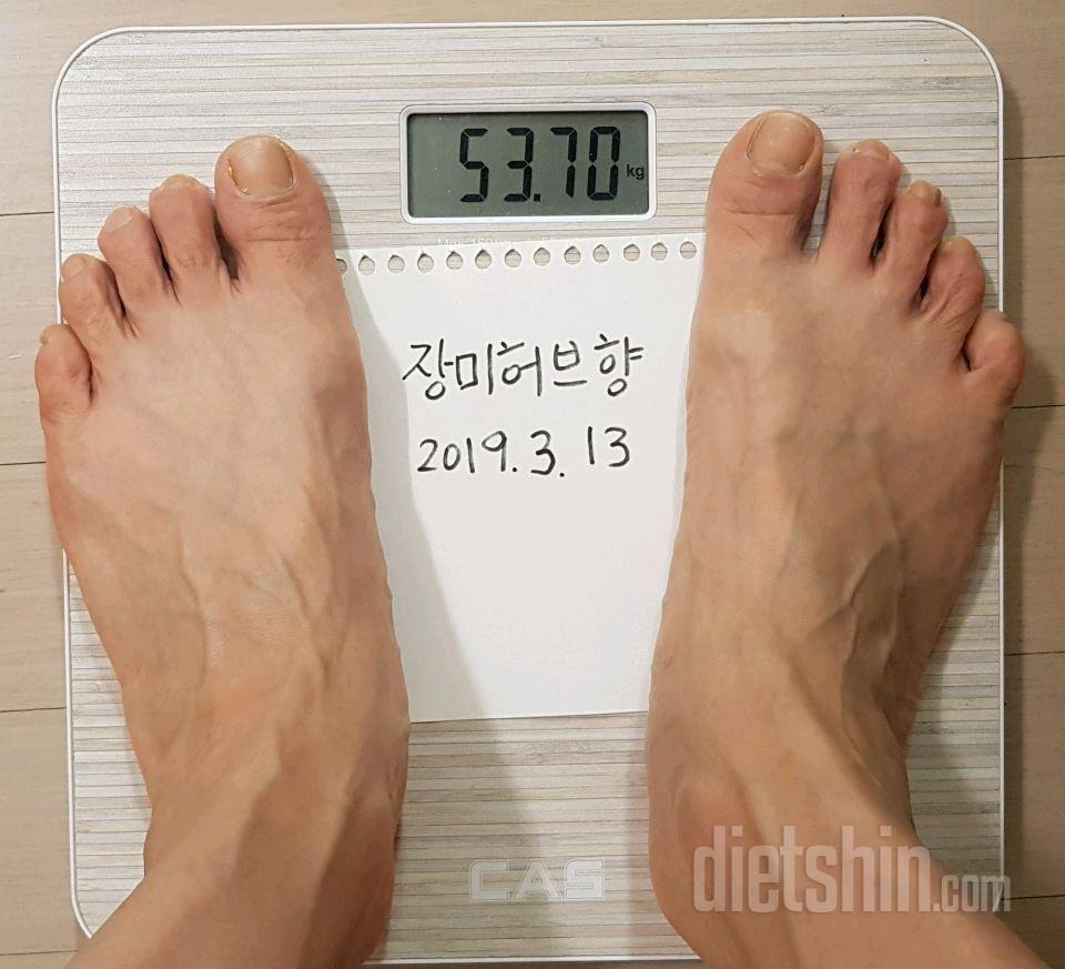 [다신 13기] 최종후기