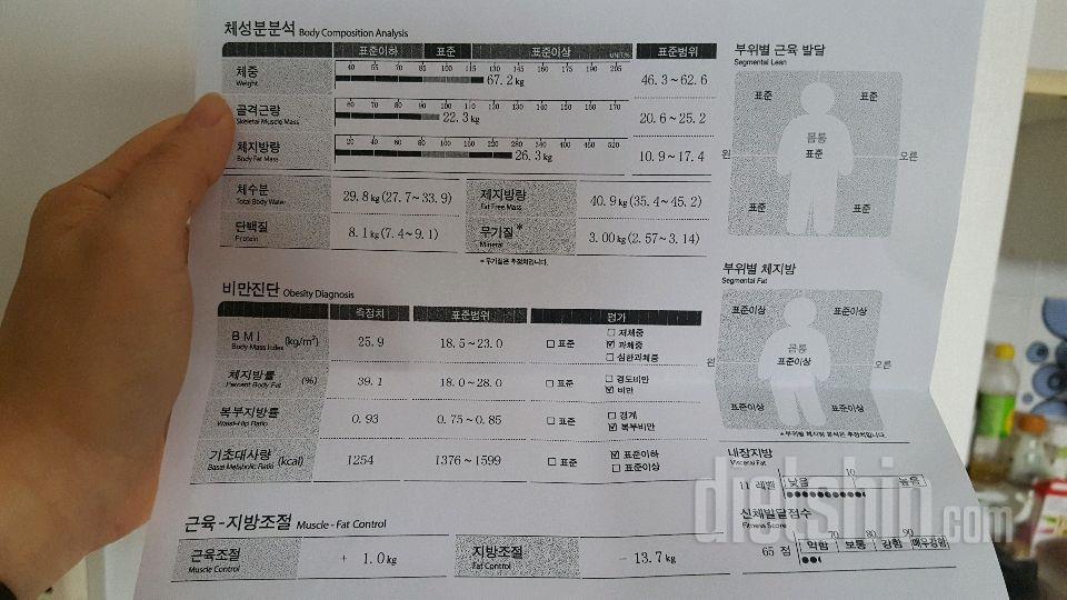 하루 섭취량&운동 봐주세요