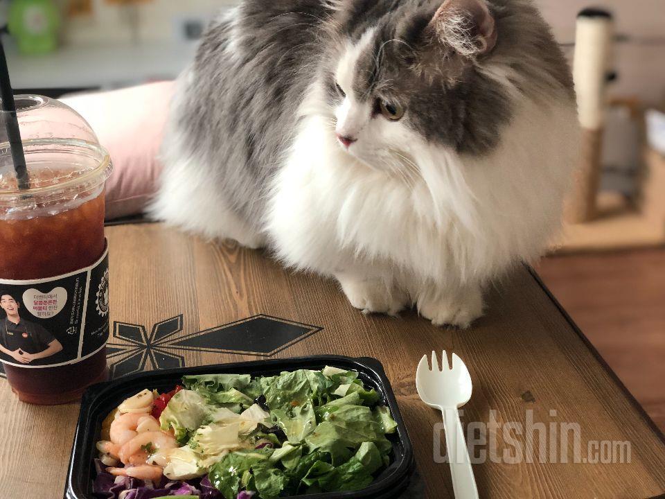 끼니 챙겨먹기 귀찮을때 먹을려고 샀는