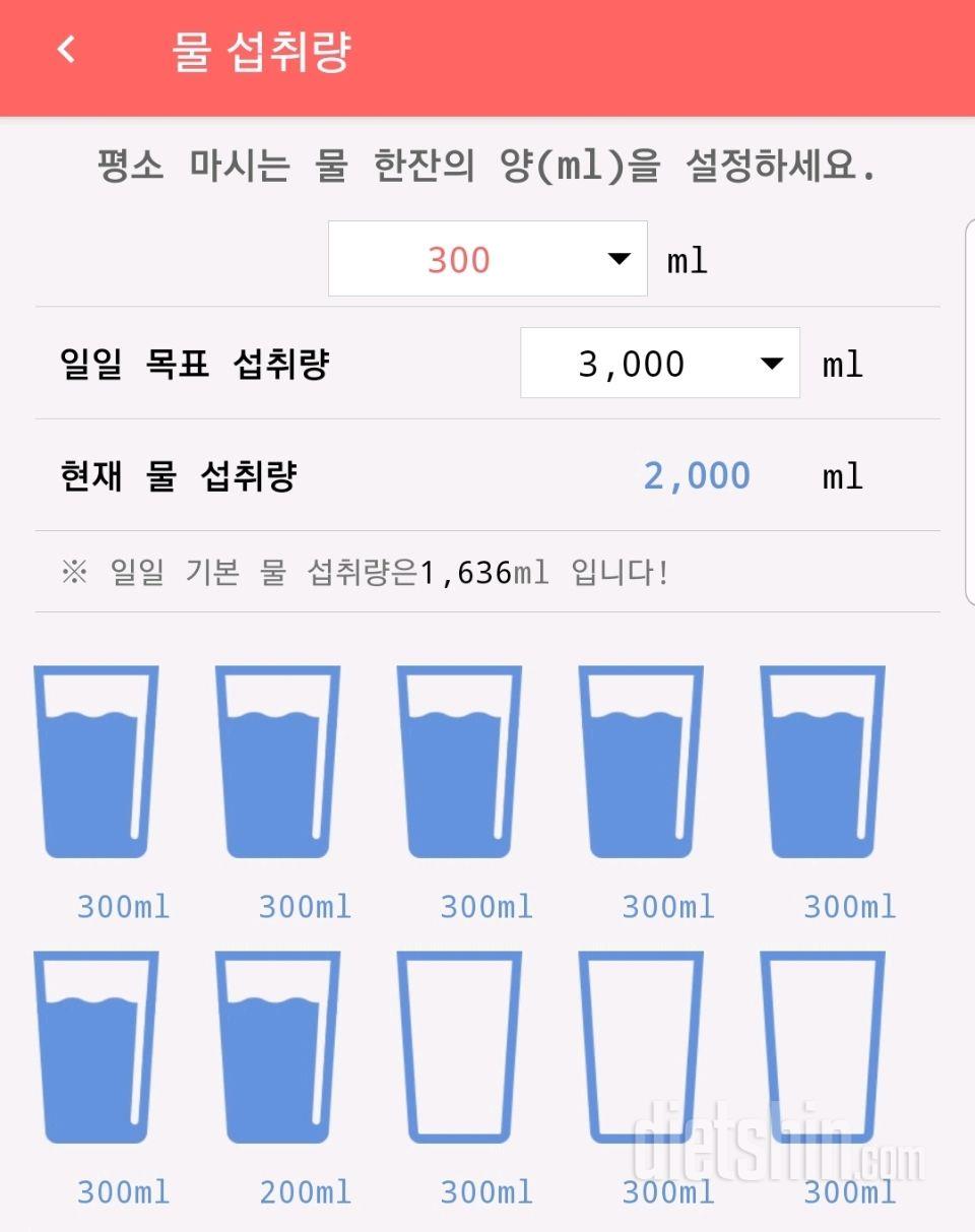 30일 하루 2L 물마시기 306일차 성공!