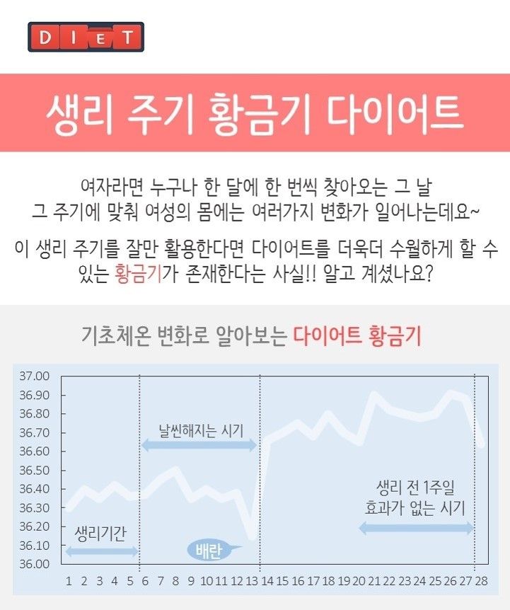 생리 주기 황금기 다이어트