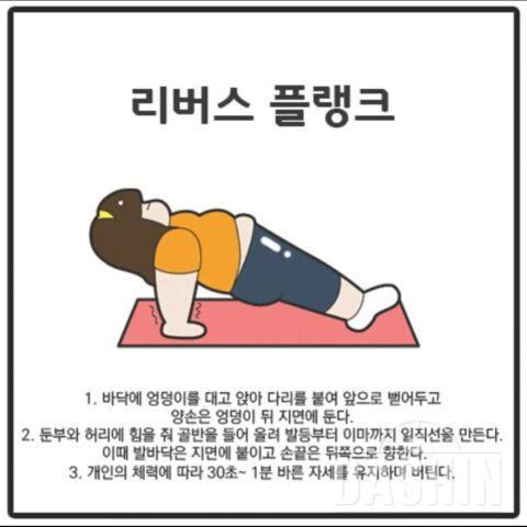 버티기 운동 다섯가지!