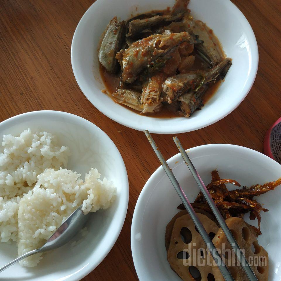 2일차 진행