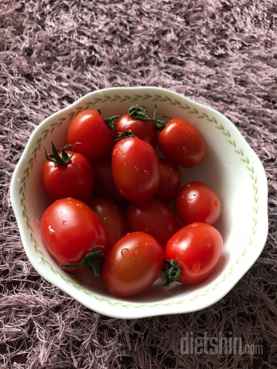 1일차 진행