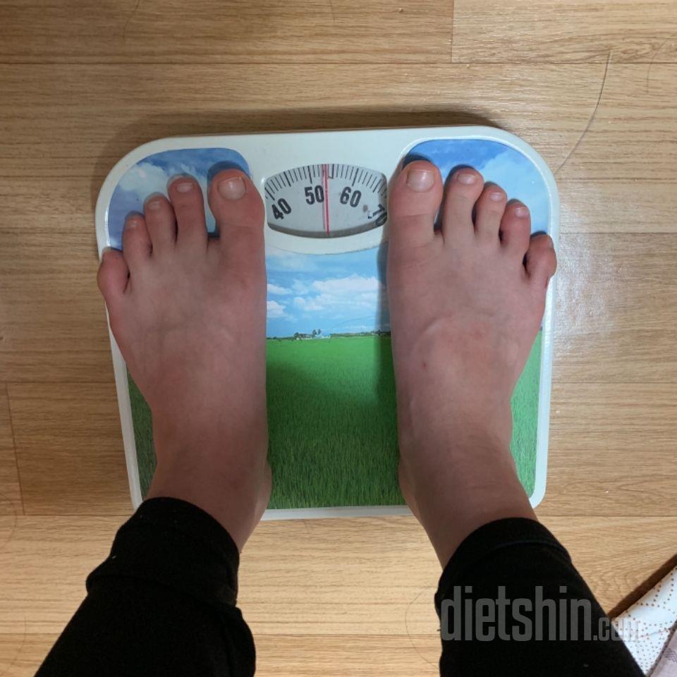 최종후기