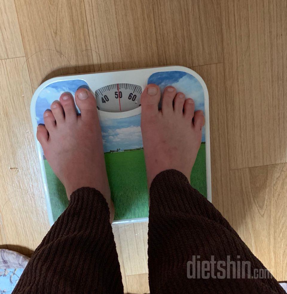 최종후기