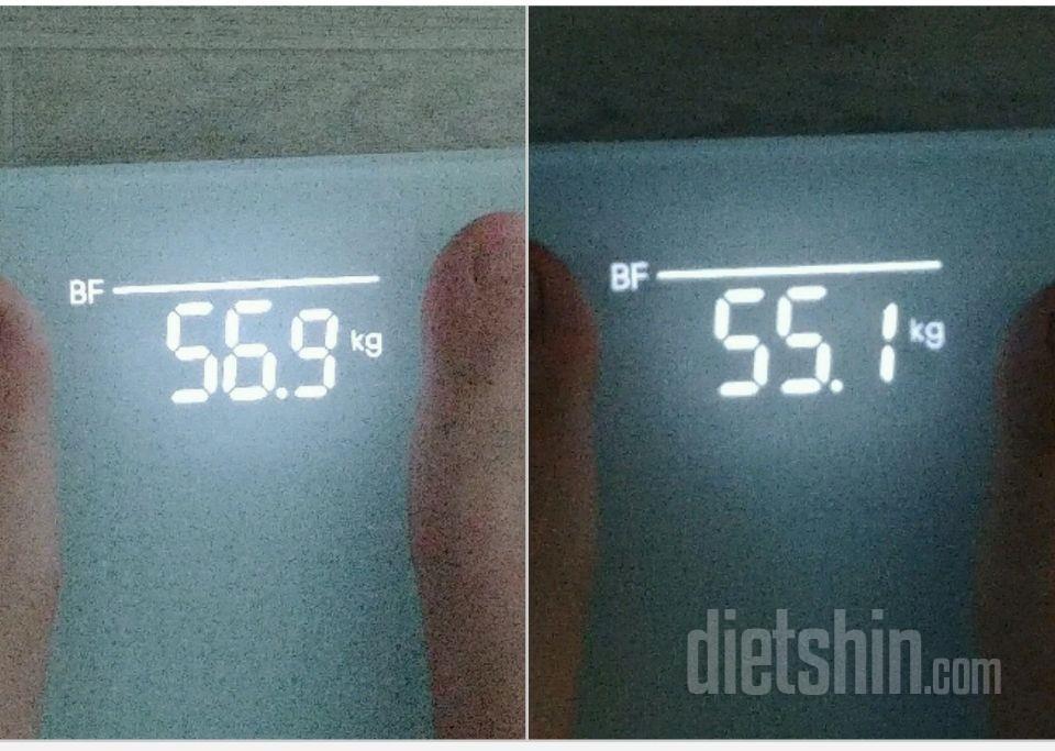최종후기