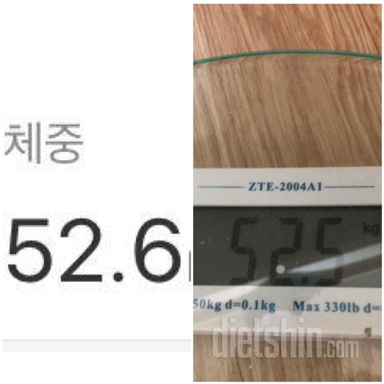 [도시락챌린지] 8일 후기!