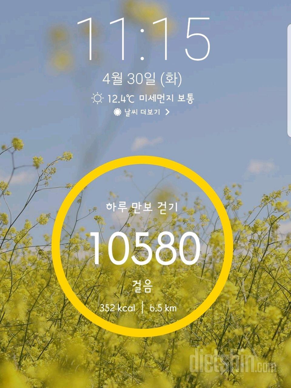 30일 만보 걷기 7일차 성공!